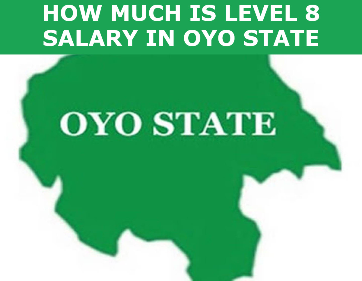 How Much is Level 8 Salary in Oyo State