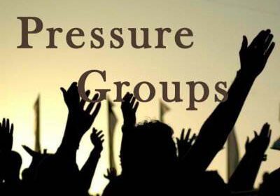 Types of Pressure Groups in Nigeria