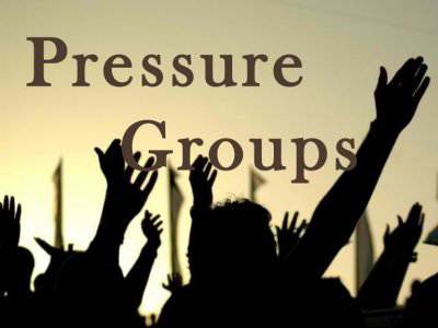 Types of Pressure Groups in Nigeria