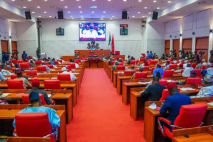 Nigerian Senators Salary Structure & Allowances