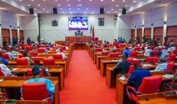 Nigerian Senators Salary Structure & Allowances