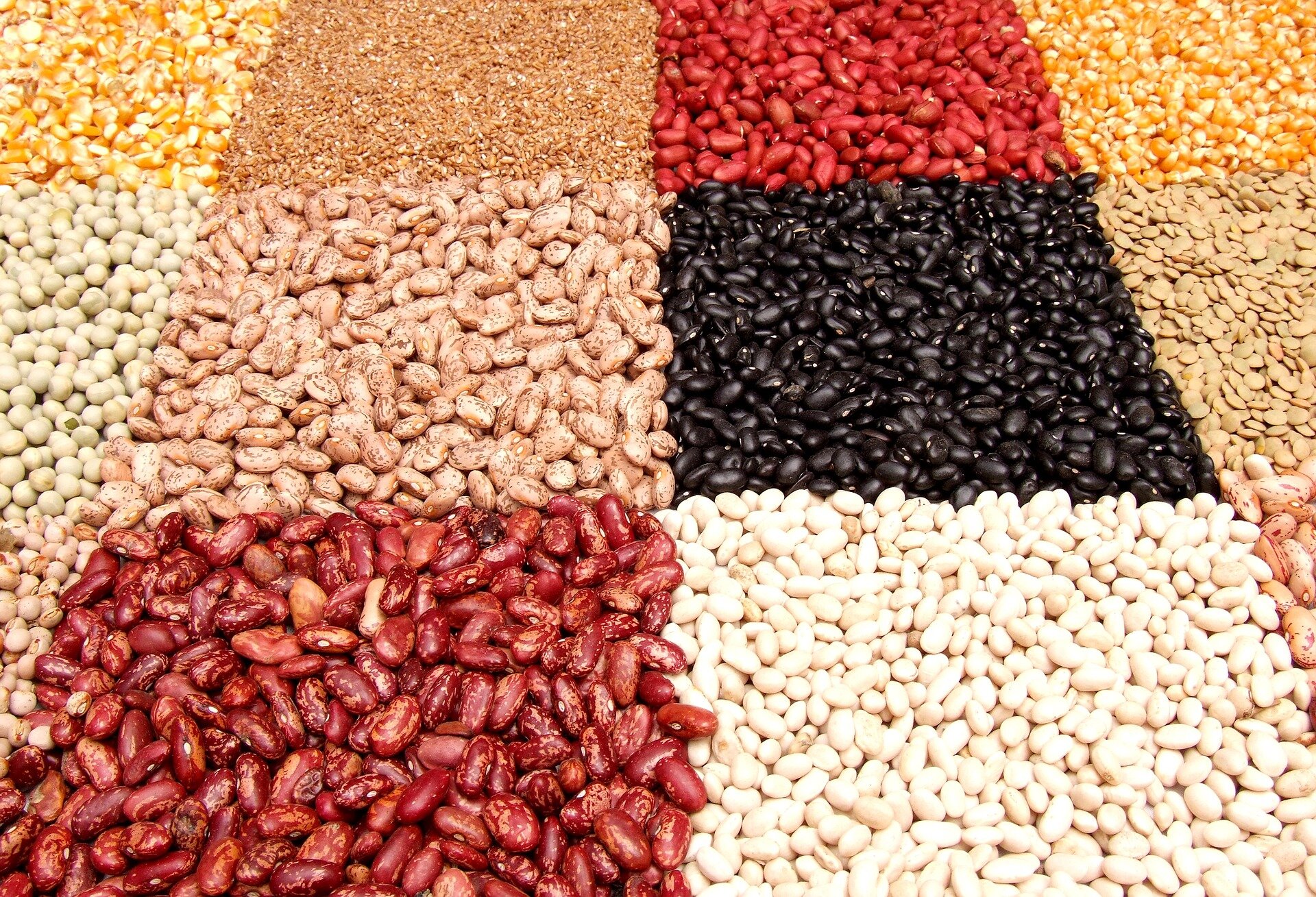 types-of-beans-in-nigeria