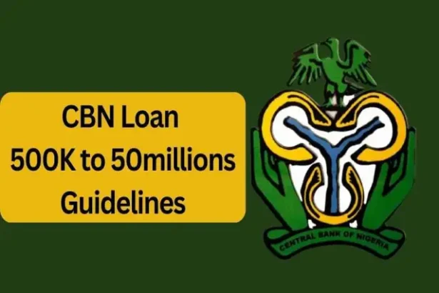 FG Approves ₦500,000 CBN Loan