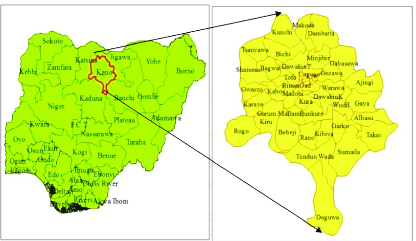 Richest Local Government in Kano State