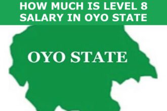 How Much is Level 8 Salary in Oyo State