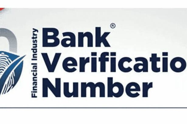 How to check my BVN name and date of birth online