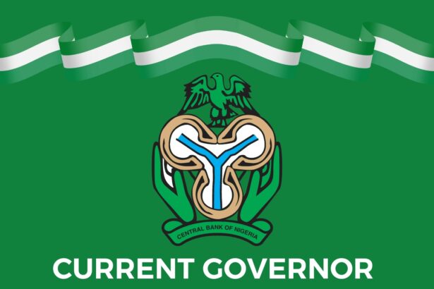 Who is the Current Governor of Central Bank of Nigeria? Key Facts and Profile