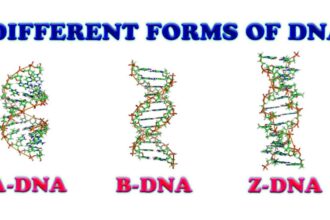 How Much Does DNA Test Cost in Nigeria