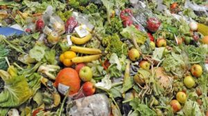 How To Stop Food Wastage In Nigeria