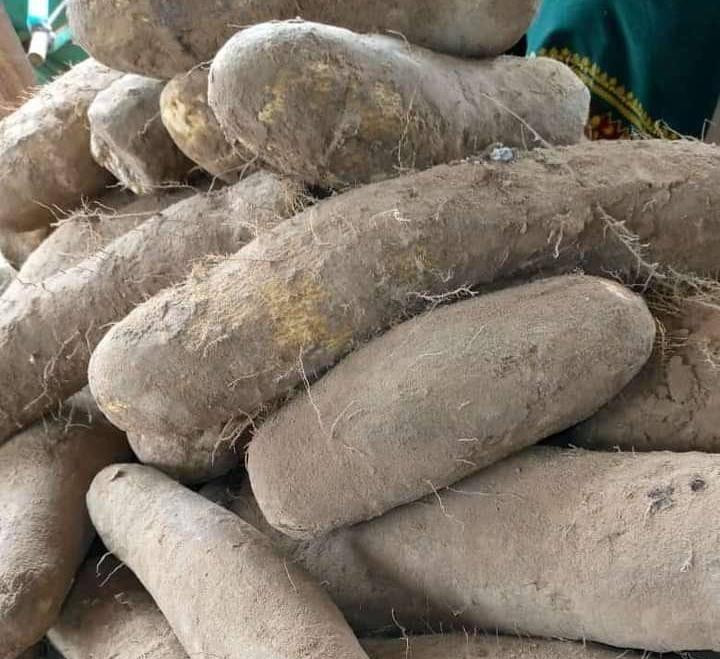 Wholesale Yam Markets in Nigeria: Top Locations for Bulk Purchases