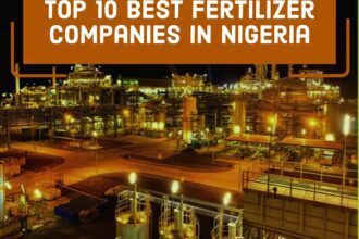 Top 10 Best Fertilizer Companies in Nigeria