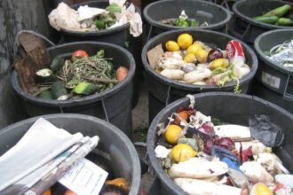 How To Stop Food Wastage In Nigeria