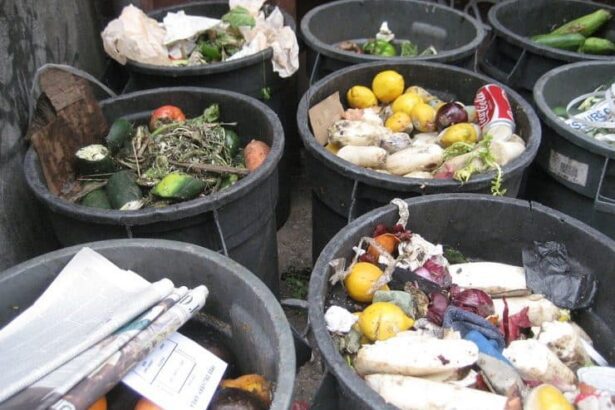 How To Stop Food Wastage In Nigeria