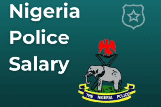 Spy Police Nigeria Salary Structure: How Much They Earn