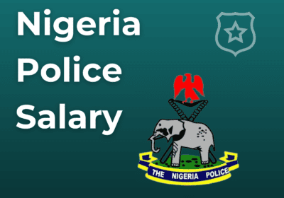 Spy Police Nigeria Salary Structure: How Much They Earn