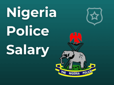 Spy Police Nigeria Salary Structure: How Much They Earn