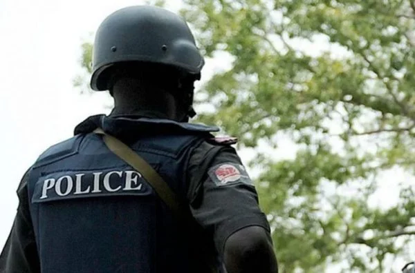 How to Report Misconduct of Police Officers in Nigeria