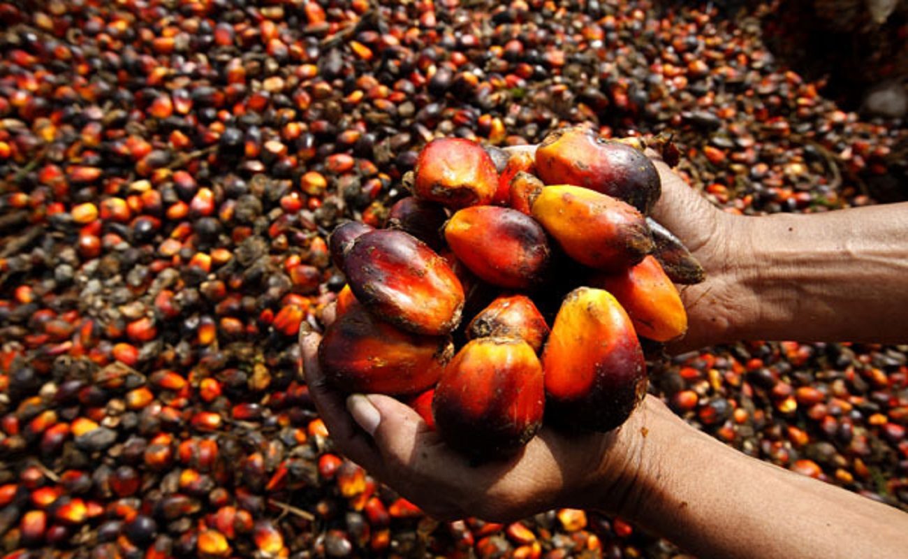 Unveiling the Palm Oil Producing States in Nigeria