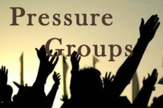 Types of Pressure Groups in Nigeria