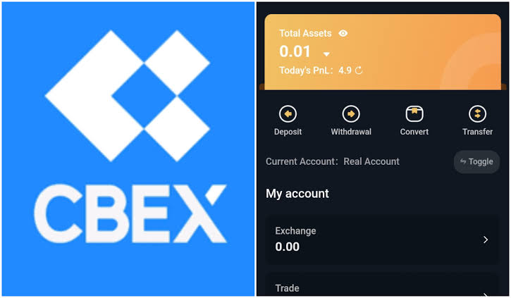 Cbex Trading Platform: How to Withdraw from Cbex to Bybit in Nigeria